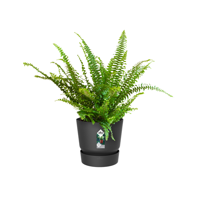 greenville easy hanger single living black